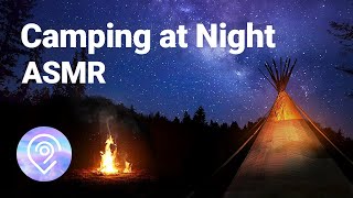 ASMR  Forest Night White Noise / Campfire, Crickets, Owls Binaural #019