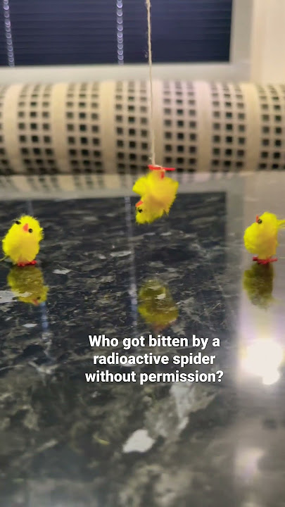 Who got bitten by radioactive spider without permission?