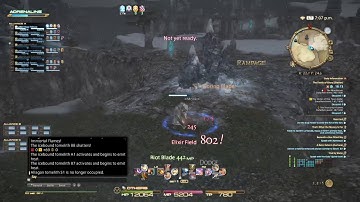 FFXIV PLD vs MNK & DRK PVP