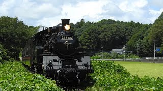 『C1266＋50系客車・快速 SLもおか』2023/8/14(真岡鐵道・笹原田駅～天矢場駅｢第五益子街道踏切｣) #SLもおか #SLもおか号 #真岡鐵道 #真岡鉄道 #C1266