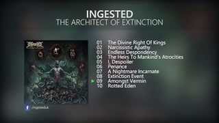 My Favorite Death Metal & Deathcore Album of 2015 - Part 3