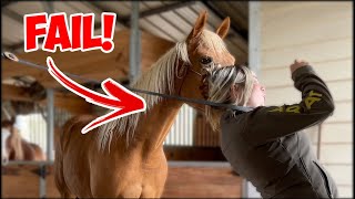 I ALMOST HAD A BIG HORSE FAIL! lol by Stephanie Moratto 14,012 views 2 months ago 15 minutes