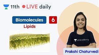 To download notes of this session, click here now:
https://bit.ly/31nxl45 unacademy class 11 & 12 | cbse ncert biology
b...
