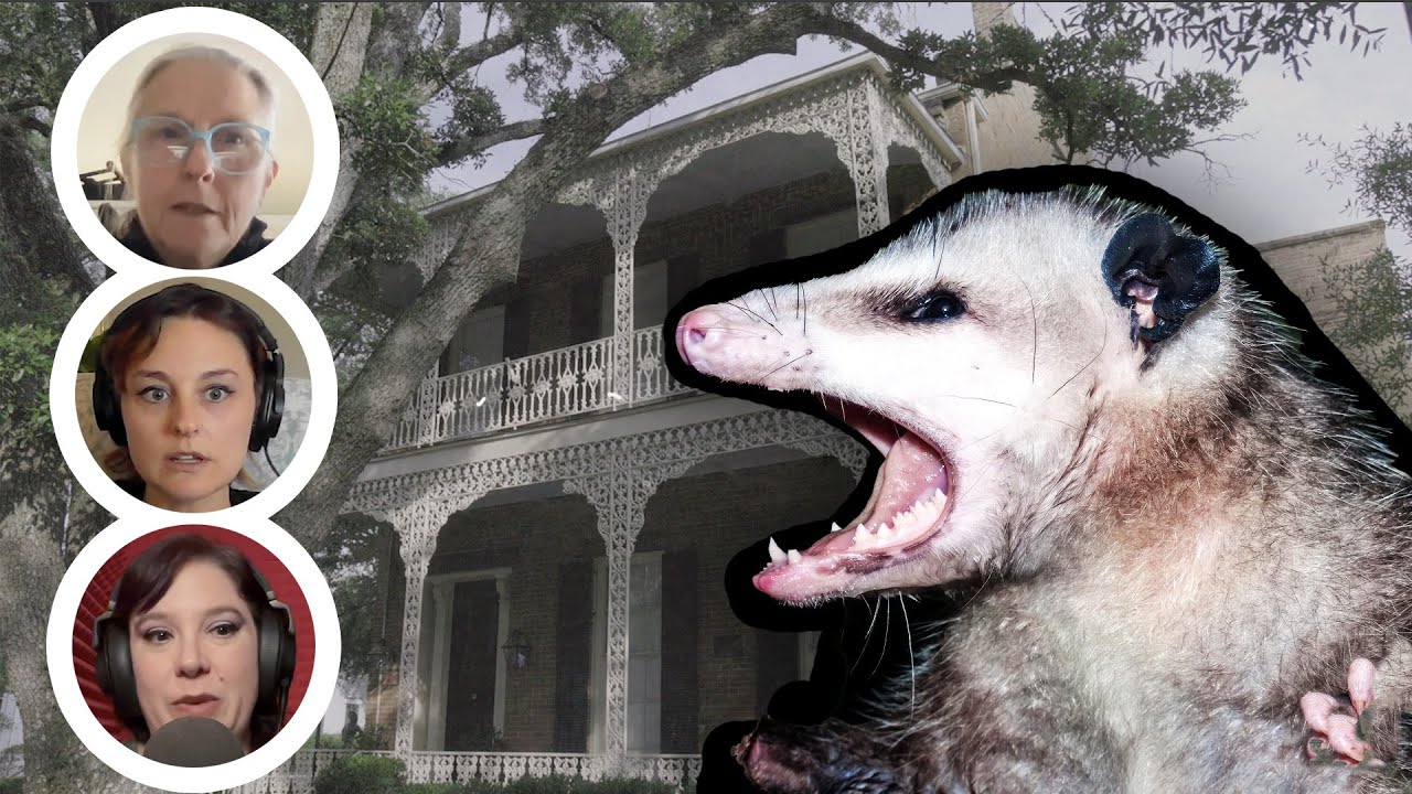 The 'Possum Town Whistleblower: True Ghost Stories from Mississippi