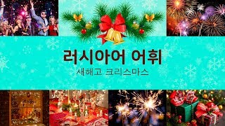 새해 & 크리스마스 [러시아어 어휘와 표현] screenshot 4