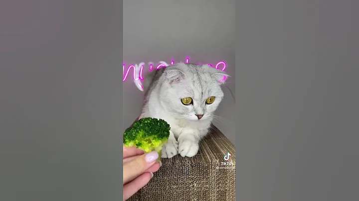 jajjajajajaj