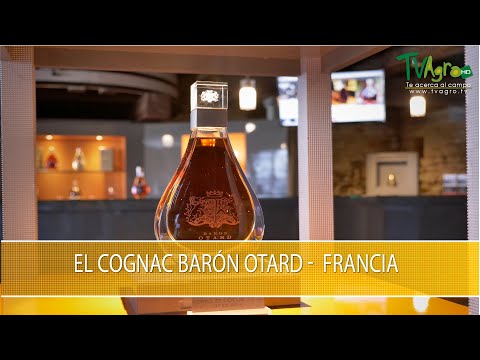 Vídeo: Com Triar El Cognac Car I Adequat