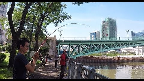 CÂU CÁ TRÊ SÔNG SÀI GÒN