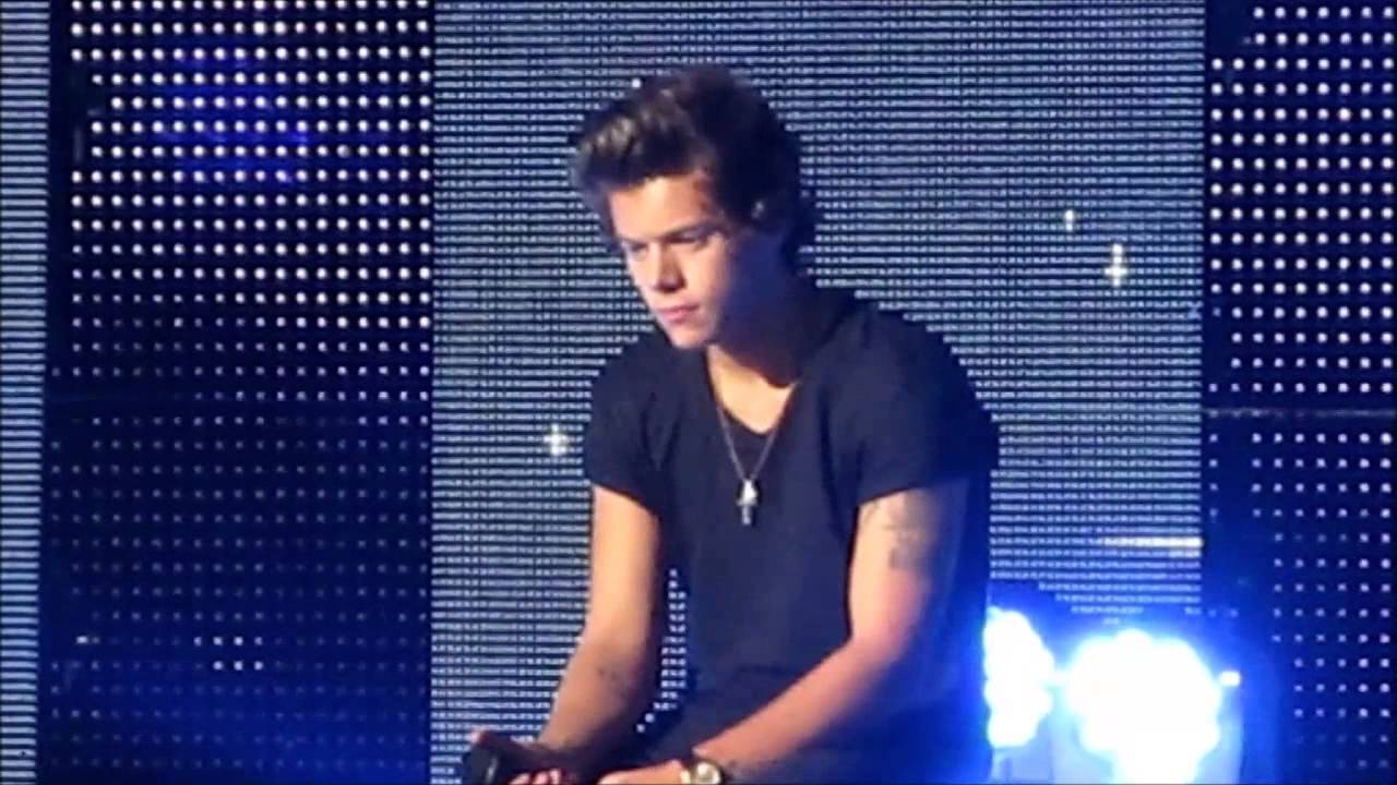 Little Things -  One Direction Concert -  Auburn Hills 7.12.13 DETROIT