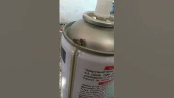سکس پشه 