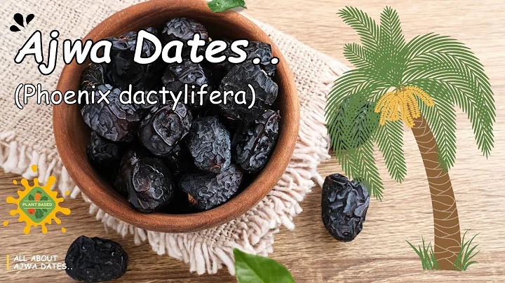 Ajwa Dates (Phoenix dactylifera) || Benefits of Ajwa Dates || Ajwa Dates Nutrition Facts & Benefits👈