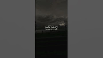 أرح سمعك طهر قلبك #القرآن_الكريم #تلاوة_خاشعة #لايك #المصحف