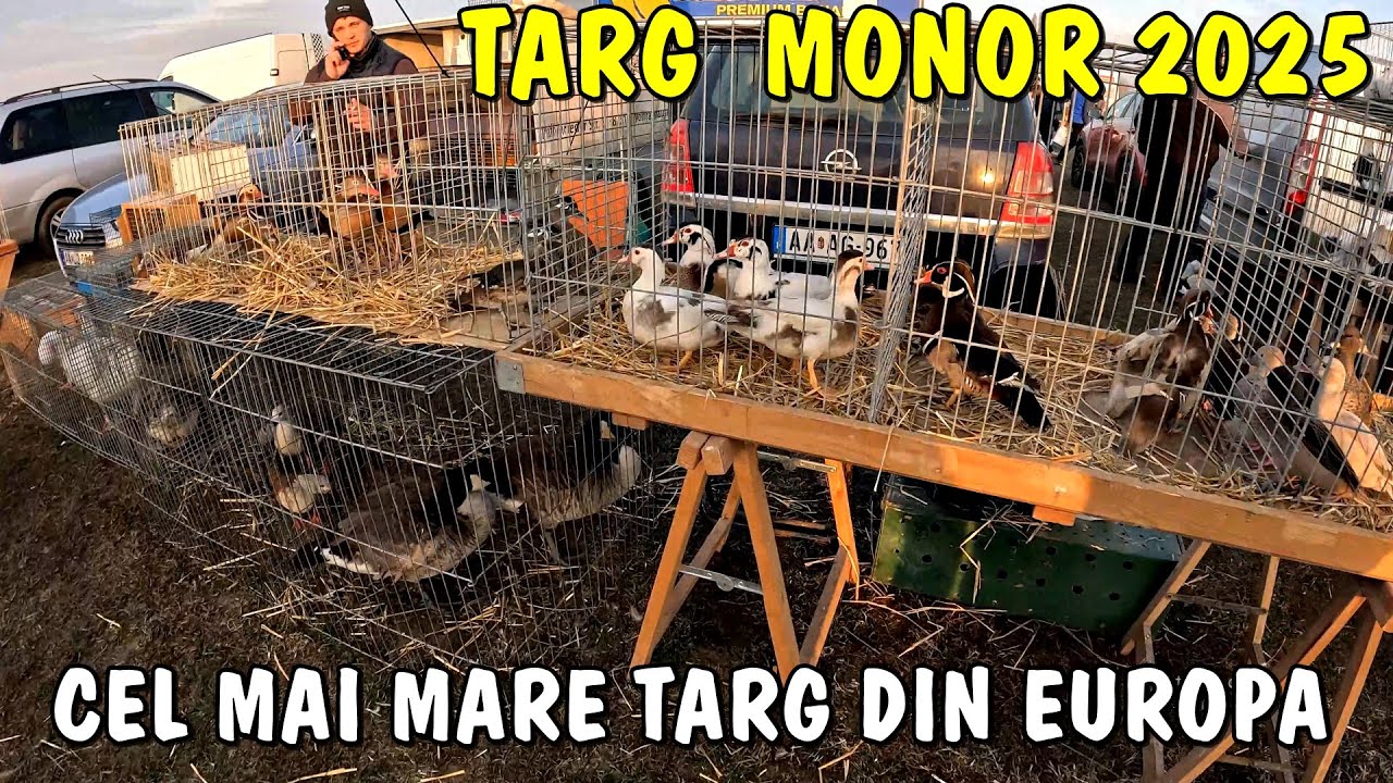 Viața la țară - Târgul de păsări și animale de la MONOR - Ungaria luna Martie 2025