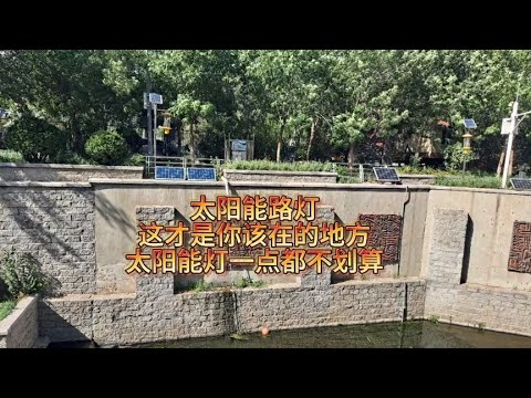 太阳能路灯，这是该在的地方，太阳能灯一点都不划算，坑了不少人