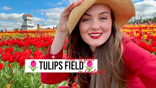 THIS IS NOT THE NETHERLANDS! Where to find tulips field in ENGLAND?