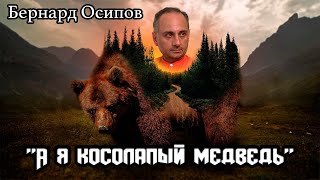 Бернард Осипов - "А я косолапый медведь"