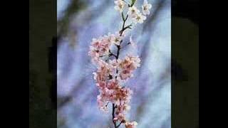 Thinking Over---Jiang Meiqi