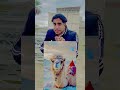 في حياتك شوفت جمل بيصلي 😱😱شوف كدا 😱 #foryou #funny #germany