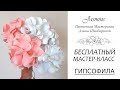 БЕСПЛАТНЫЙ МАСТЕР-КЛАСС - ГИПСОФИЛА из фоамирана