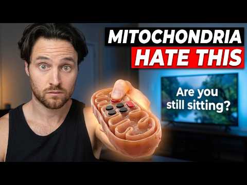 They Spent 10 Days in Bed. Their Mitochondria Paid the Price