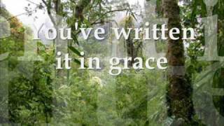 Video thumbnail of "The Father's Song (Matt Redman)"