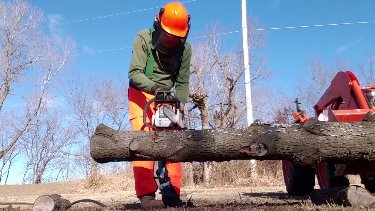 Some Chainsaw Humor YouTube