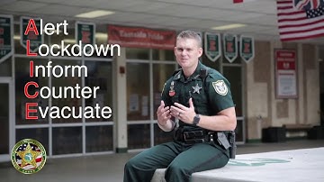 ALICE Training for Middle and High