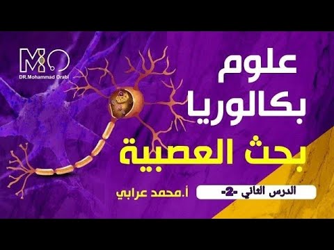 القسم الثاني من الدرس الثاني عدد الاقسام كاملة ٣ اقسام