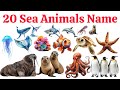 20 समुद्री जानवरों के नाम 🌊 | 20 Sea Animals Name in English and Hindi | Kids Learning Video 🐠🐬