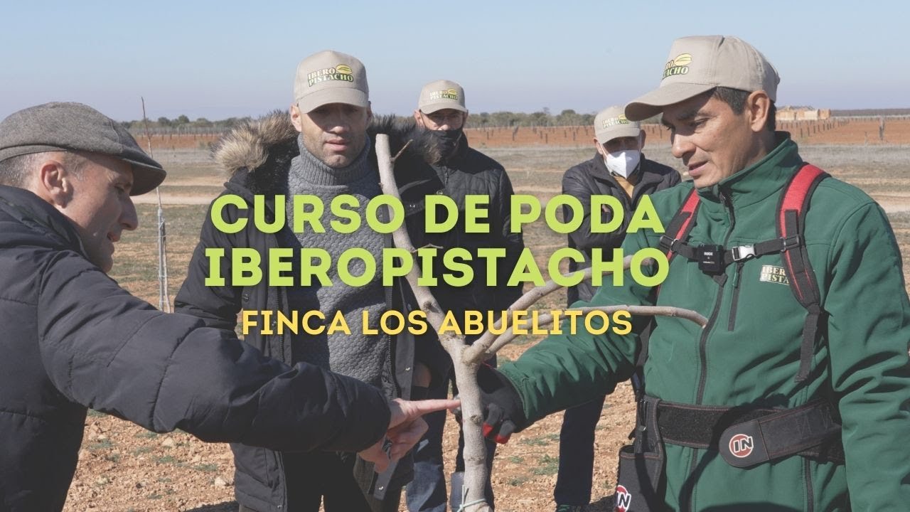 Curso de Poda IberoPistacho. Finca los Abuelitos. Año 2.