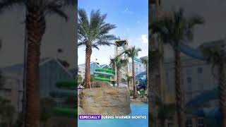Best Hotel in Florida#Gaylord Palms Resort & Convention Center