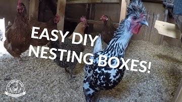 DIY Nesting Box Upgrades! Building New Nesting Boxes for the Chickens!