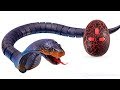 Unpacking RC Snake Toy Blue