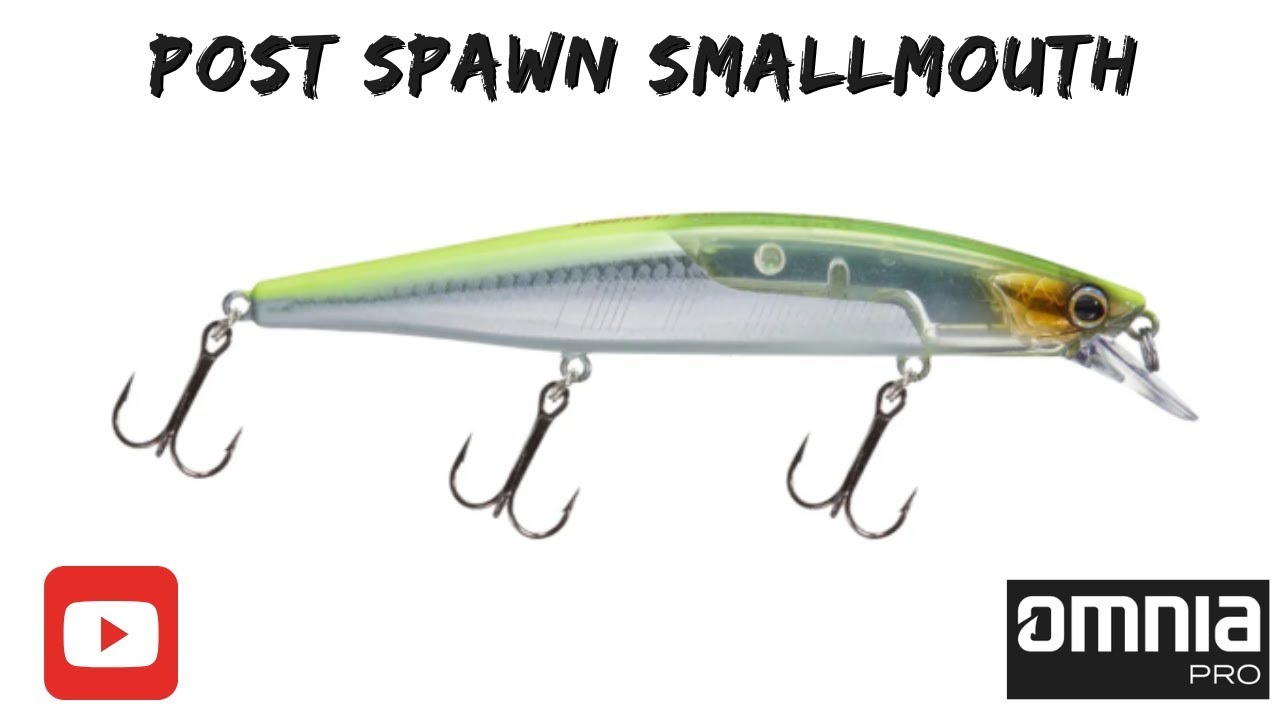 Post Spawn Smallmouth Bass Fishing!