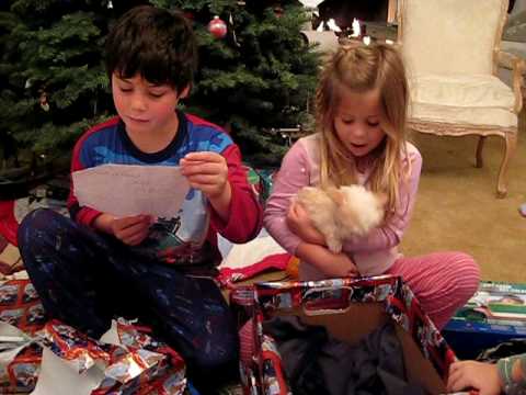 Kids Getting a New Puppy on Christmas