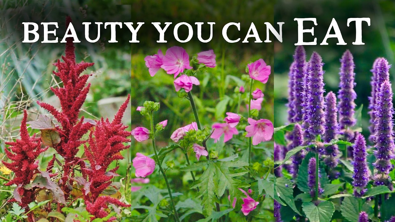 8 Easy Crops That Make Your Garden Look Incredible