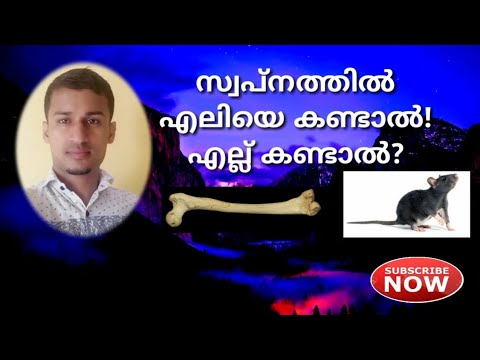 സ്വപ്നത്തിൽ എലിയെ കണ്ടാൽ വ്യാഖ്യാനം എന്താണ്?എല്ല് കണ്ടാൽ?/swapna viyakiyanam sayyid mahroofpart 10