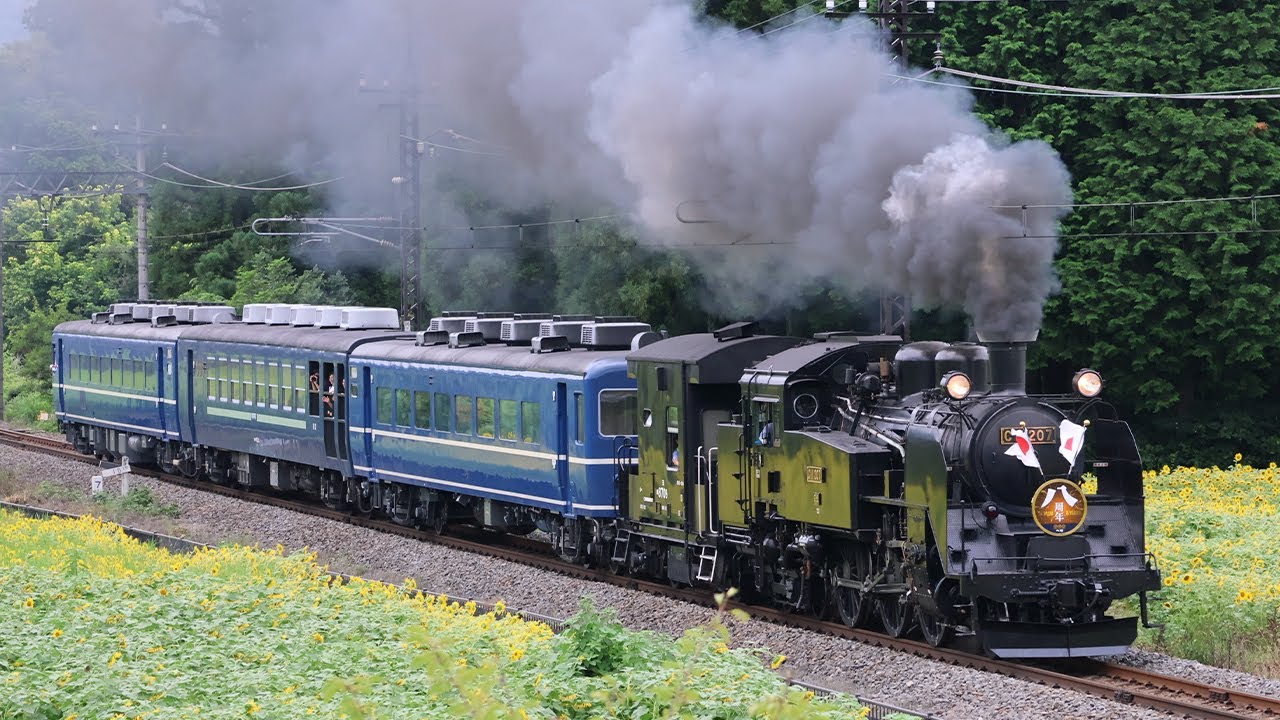 【SL大樹】㊗8周年！ C11 207 日章旗・8周年HM掲出 2025.8.11