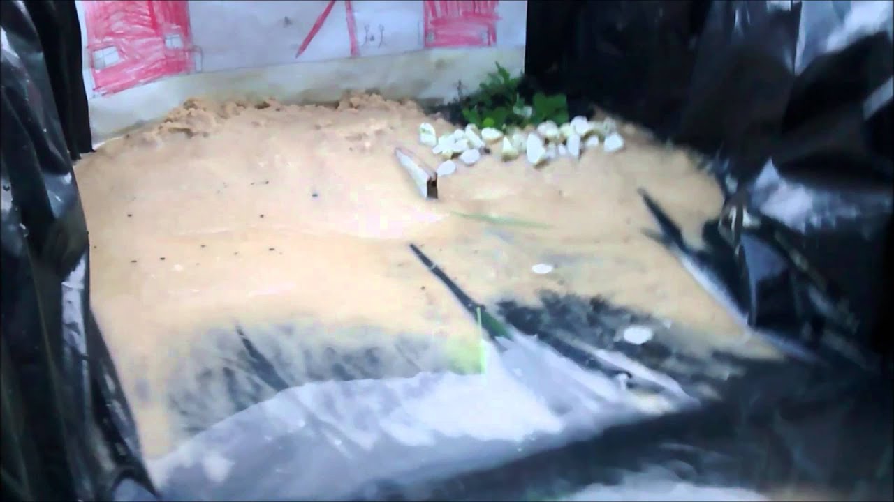 Tsunami Model YouTube