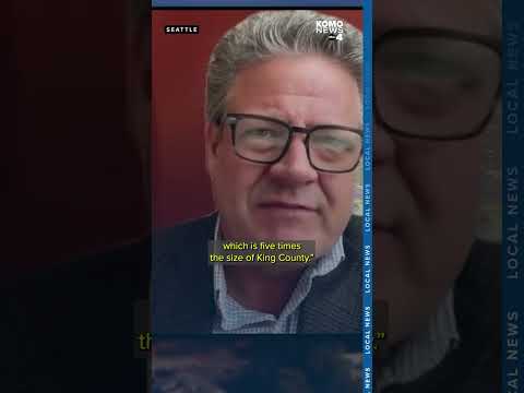 High End Bustednewspaper Comal Report - oq3qro0