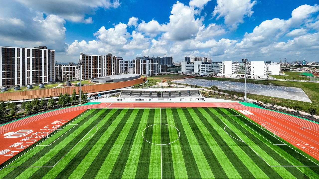 China builds world's largest high-quality education system: minister