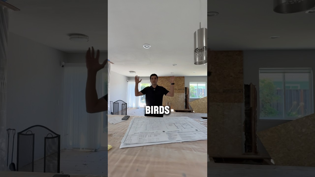 Funniest building code that involves birds🦅 