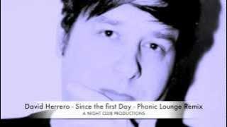 David Herrero - Since the First Day - Phonic Lounge Remix
