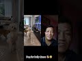 #funny #shortsfeed #trending #dog#dogshorts #animals #doglovers#dance#viralshorts #reaction