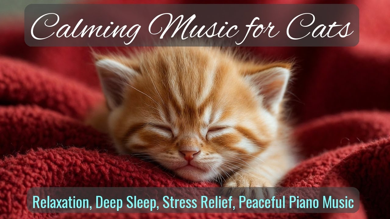 Calming Music for Cats - Relaxation, Deep Sleep, Stress Relief, Peaceful Piano Music | Season 62