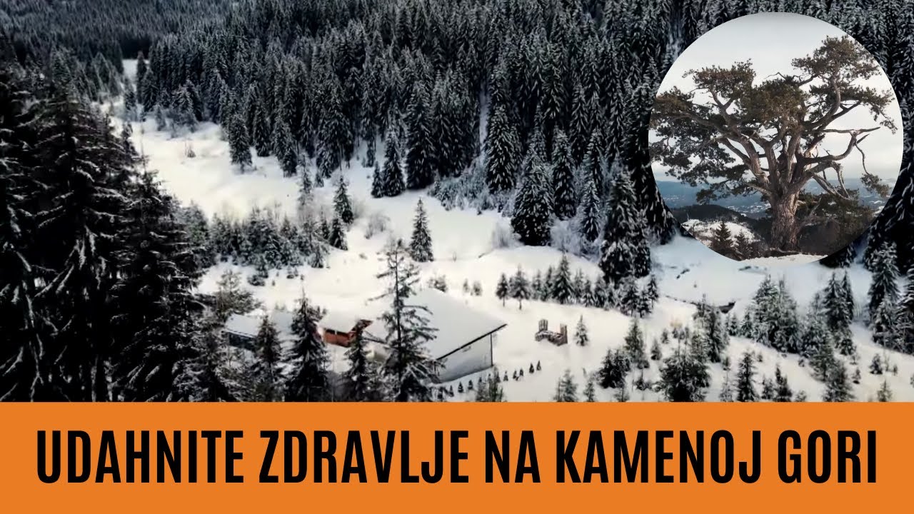 Konačište RUŽA | Sveti BOR i svež planinski vazduh na Kamenoj Gori | LEPŠE OD PARIZA Ep.60