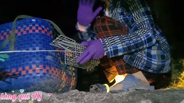 vợ chồng"làng quê AG"bẫy chuột đồng chuẩn bị kết thúc 1 năm đầy vất vã,