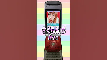 着メロ さくらんぼ 大塚愛 Shorts 
