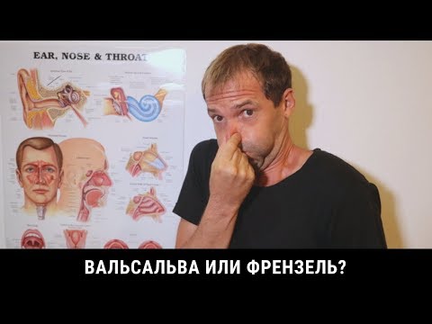 Вопрос: Как научиться фридайвингу?