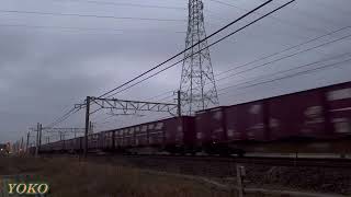JR貨物 東海道本線 1064レ EF210-159号機 2023.02.10
